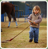 polojo 1