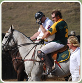 polojo 2