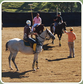 polojo 2